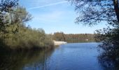 Tocht Stappen Houthalen-Helchteren - petit tour dans la réserve naturelle du Hengelhoef  - Photo 1