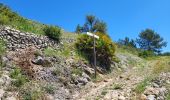 Trail Walking la Vall de Laguar - Benimaurell 250525 - Photo 12