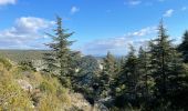 Randonnée Marche Bonnieux - PF-Bonnieux - Massif des Cèdres - Roque des Bancs - Les Portalas - AT - Photo 7