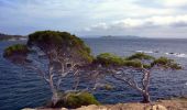 Randonnée Marche Hyères -  Giens Ouest + port du Niel et village de Giens - Photo 18