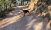 Trail Walking Mandelieu-la-Napoule - Esterel volcan - Photo 2