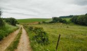 Tour Mountainbike Wirten - Montmédy  -   Balade_VTT_52kms - Photo 4