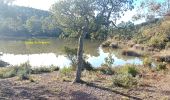 Tocht Elektrische fiets Fréjus - Velos dans l'Esterel 29km - Photo 10