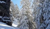 Randonnée Marche Saint-Agnan-en-Vercors - Les Hauts Plateaux du Vercors - Photo 4