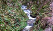 Trail Walking Gérardmer - gerardmer saut de la bourrique cascade merel - Photo 14