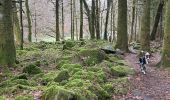 Trail Walking Le Tholy - Les 2 cascades du Tendon (grand tour) - Photo 16