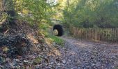 Tocht Stappen Palaiseau - Lozère - Photo 1