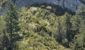 Tour Wandern Rémuzat - les Aiguilles de Remuzat - Photo 4