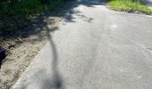 Percorso Bici da strada Mettet - Nouveau Ravel Ermetonsur Bierre - Photo 4