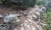 Excursión Senderismo Gordes - Roundwalk from Hotel Les Bories with shortcut -With pictures, start/finish Sénanque - Photo 13