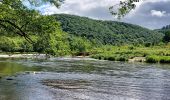 Excursión Senderismo Vresse-sur-Semois - Laforet 240522 - Photo 7