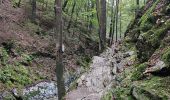 Trail Walking Aywaille -  A la découverte du Ninglinspo 🥾 - Photo 4