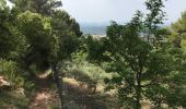 Trail Walking Draguignan - Draguignan ancien Malmont 8 km  - Photo 8