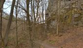 Trail Walking Nandrin - petite boucle de La Rochette et du ruisseau du Fond d'Oxhe - Photo 1
