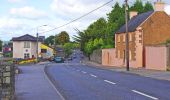 Randonnée A pied The Municipal District of Kilkenny City - Nore Valley Walk - Photo 9