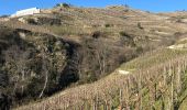 Trail  Tain-l'Hermitage - Pierre Aiguille Tain l’Hermitage  - Photo 10