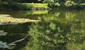 Randonnée Marche Meudon - les 5 étangs meudon - Photo 2