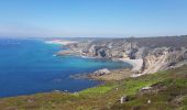 Trail Walking Crozon - FINISTÈRE-  CAP de la CHÈVRE  - Photo 16