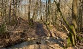 Excursión Senderismo Pepinster - Les trois bois Tancrémont Gué de Becoen - Photo 1