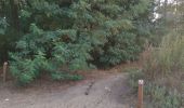 Trail Walking Herentals - boomshakalaka - Photo 1