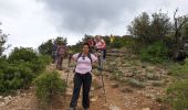 Trail Walking Brignoles - Le Candelon - Photo 2