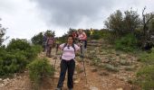 Tour Wandern Brignoles - Le Candelon - Photo 2