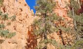 Percorso Marcia Unknown - 2024 Bryce Canyon Queen's Trail - Photo 14