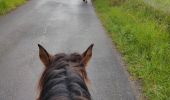 Trail Horseback riding Chasselay - Chasselay 20230423 - Photo 2