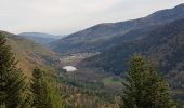 Trail Walking Lepuix - Ballon d'Alsace - cascade et lac d'Alfeld - Photo 9