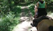 Trail Horseback riding Falck - Falck, forêt de la Houve  - Photo 11