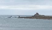 Randonnée Marche Trébeurden - boucle Île Grande  - Photo 17