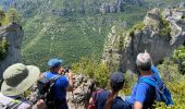 Tour Wandern Saint-Pierre-des-Tripiers - Cassagnes crête vallée Jonte et Tarn 12,2 km - Photo 14
