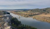 Trail Walking Donzère - Donzère -falaises-Navon-ruines 15km - Photo 1