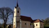 Tocht Te voet Feistritztal - Wanderweg 6 - Photo 9