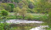 Excursión A pie Waldböckelheim - Waldböckelheimer 