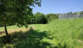 Trail Horseback riding Saint-Genix-les-Villages - 201106 boucle StMauriceRotherens - Photo 3