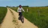 Trail Mountain bike Virton - Monquintin  -  Balade_VTT_22Kms - Photo 15