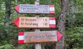 Randonnée Marche San Marcello Piteglio - Rifugio Casetta Pulledrari - Monte Gennaio - Photo 1