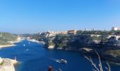 Trail Walking Bonifacio - plages des calanques et phare - Photo 3