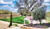 Trail Walking Carcès - SityTrail - Carces - Photo 19