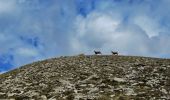 Tour Wandern Prads-Haute-Bléone - Crête du Cadun via Serre en Haute Bléone - Photo 13