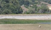 Trail On foot Piedimonte Matese - (SI S23) Pidimonte Matese - Campitello Matese - Photo 5