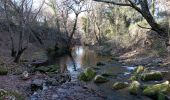 Trail Walking Sommières - Sommieres  (19-12-2021) - Photo 8