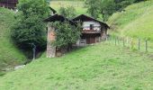 Tocht Stappen Hauteluce - LE SENTIER DES COTES A HAUTELUCE - Photo 4