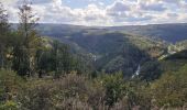 Tocht Stappen Houffalize - rando engreux 15-10-2023 - Photo 10