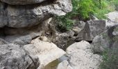 Trail Walking Mazaugues - Saut du cabri Carami - Photo 5