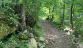 Randonnée Marche Vernet-les-Bains - Col de Jou - Photo 12