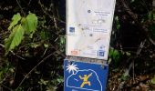 Tour Wandern Les Anses-d'Arlet - Grande Anse-Cap Salomon boucle en Q - Photo 18