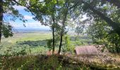 Tocht Stappen Gueberschwihr - Gueberschwihr - Voegtlinshoffen - N.-D. de Schauenberg - Pfaffenheim - Photo 13