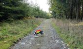 Tour Wandern Libramont-Chevigny - Libramont Bois de Bernihé parcours BD - Photo 8